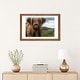 preview thumbnail 20 of 18, iCanvas "Portrait Of A Young Scottish Wooly Highland Cattle" by Michael Schauer PFA