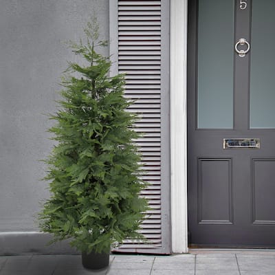 National Tree Company 5 ft Artificial Cypress Topiary Tree - 5 ft
