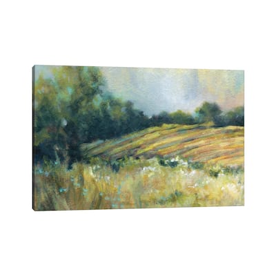 iCanvas "Pastoral Field" by Carol Robinson Canvas Print