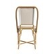 preview thumbnail 12 of 23, Tobias Outdoor Rattan and Metal Bistro Dining Chair