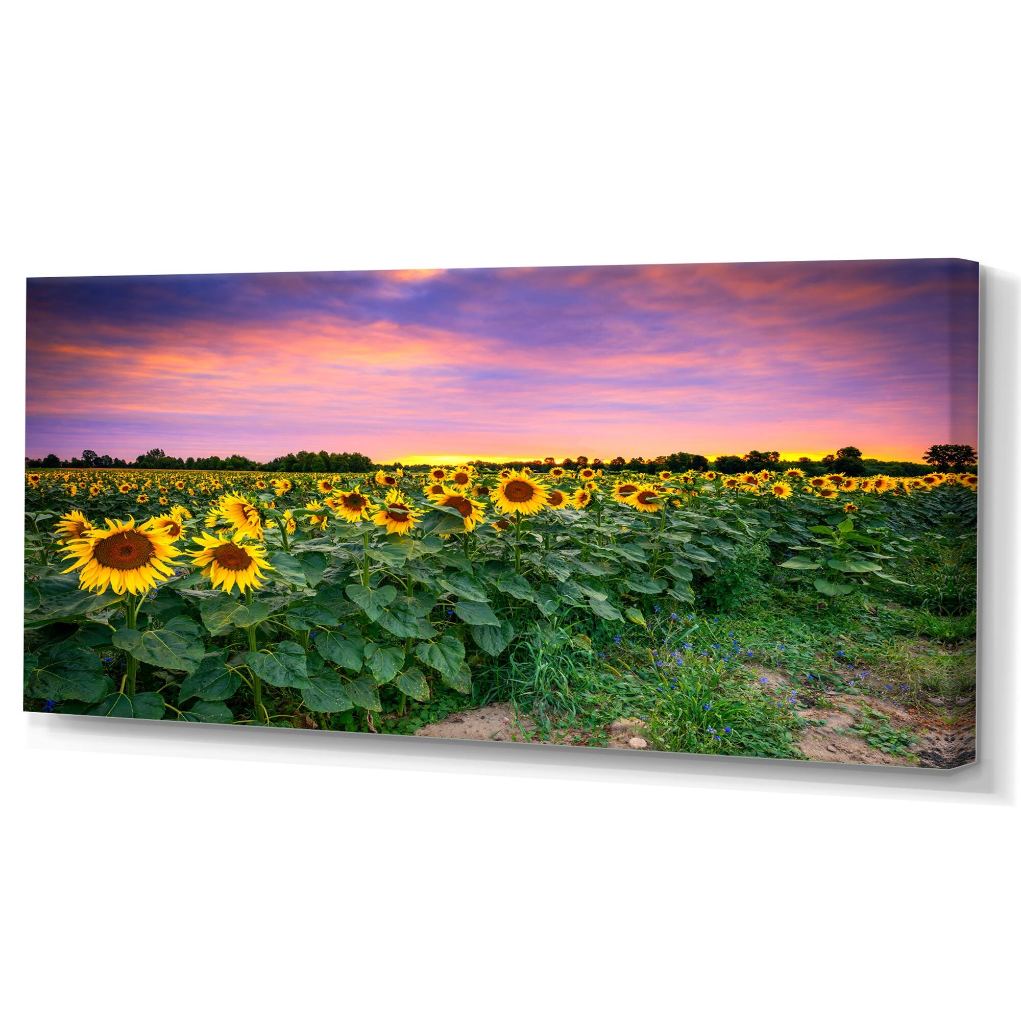 Designart "Sunset Sunflower Field" Floral Canvas Wall Decor Bed Bath