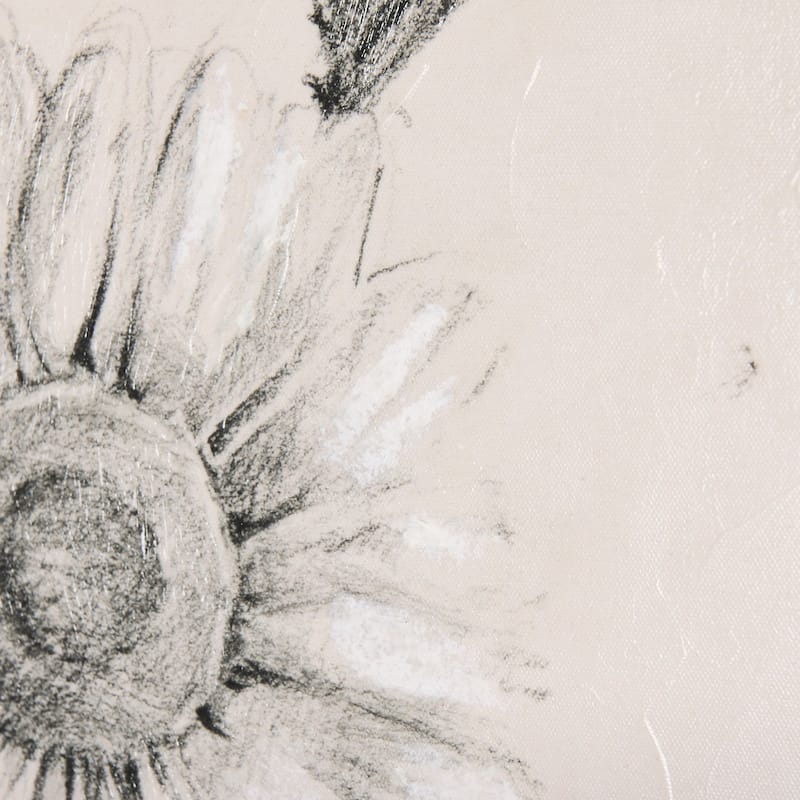 Chamomile Drawing I (30 x 45) Canvas Art Print