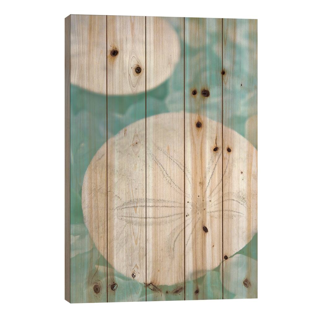 Seaglass 3 Print On Wood by Alan Blaustein - Multi-Color