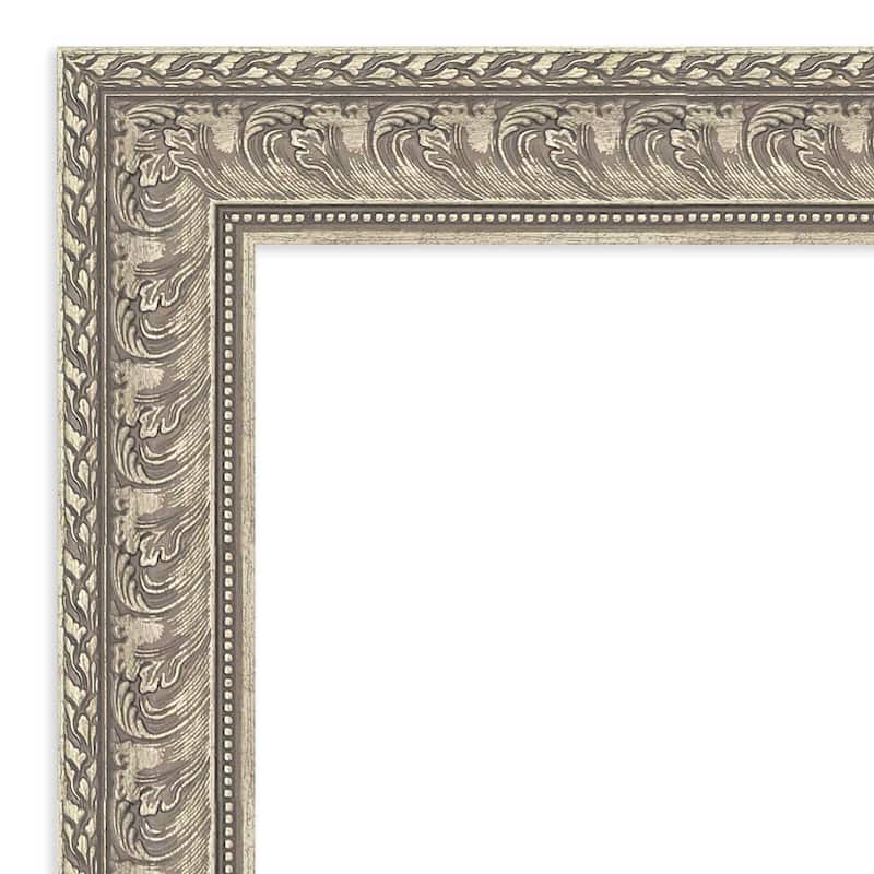 Sydney Non-Beveled Framed Full-Length Floor Leaner Mirror - Sydney Silver - 31 x 67 in