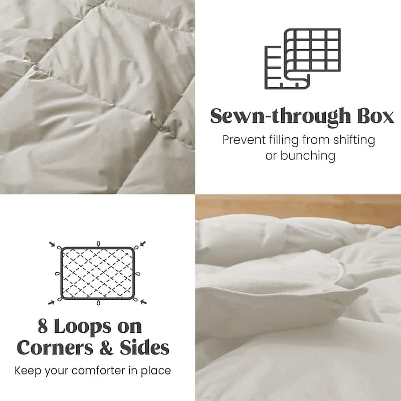 All Season 100% Organic Cotton Down Breathable Duvet Insert Medium Warmth Comforter