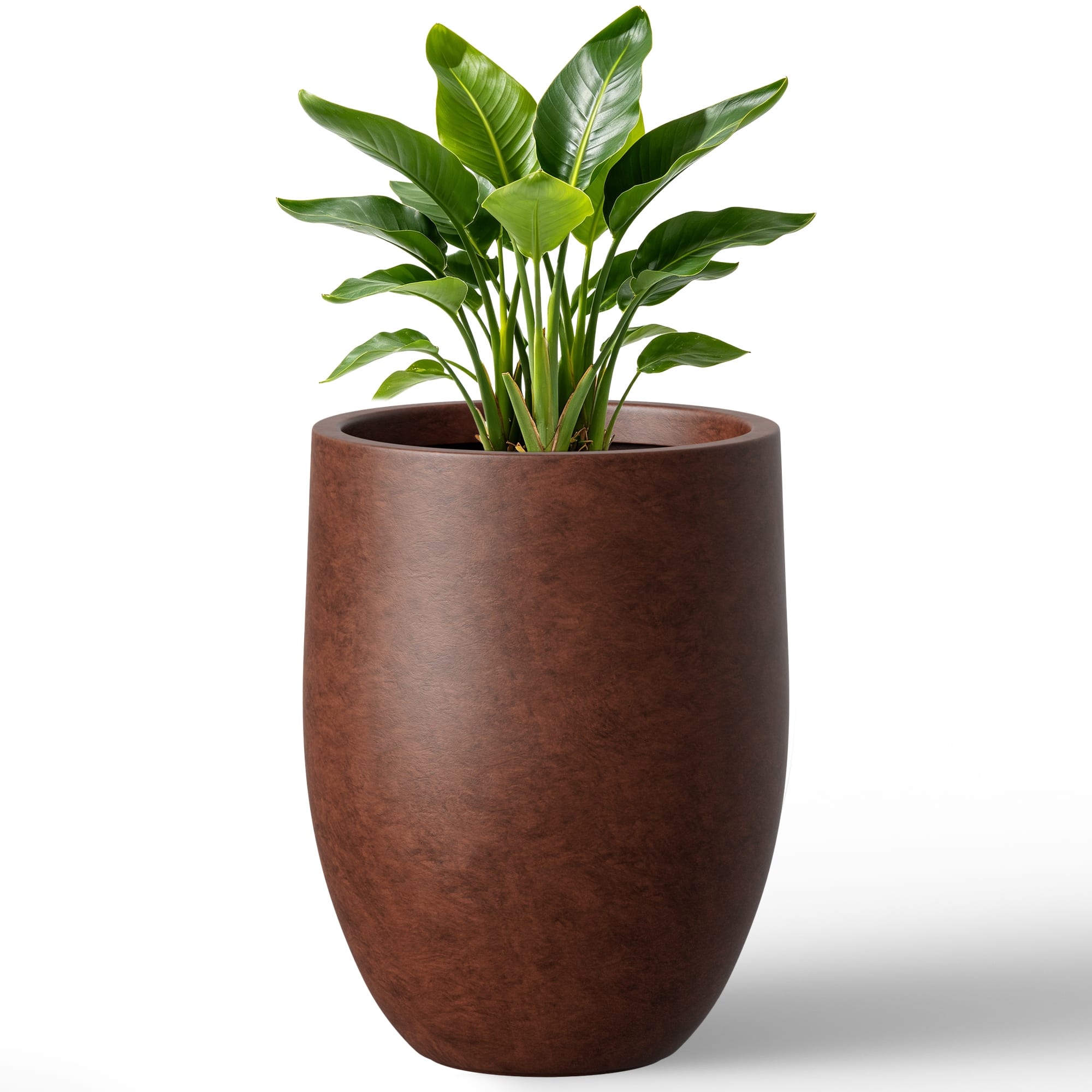 Option Mocha Brown