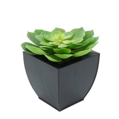 Faux Green Echeveria Succulent in Tapered Zinc Planter