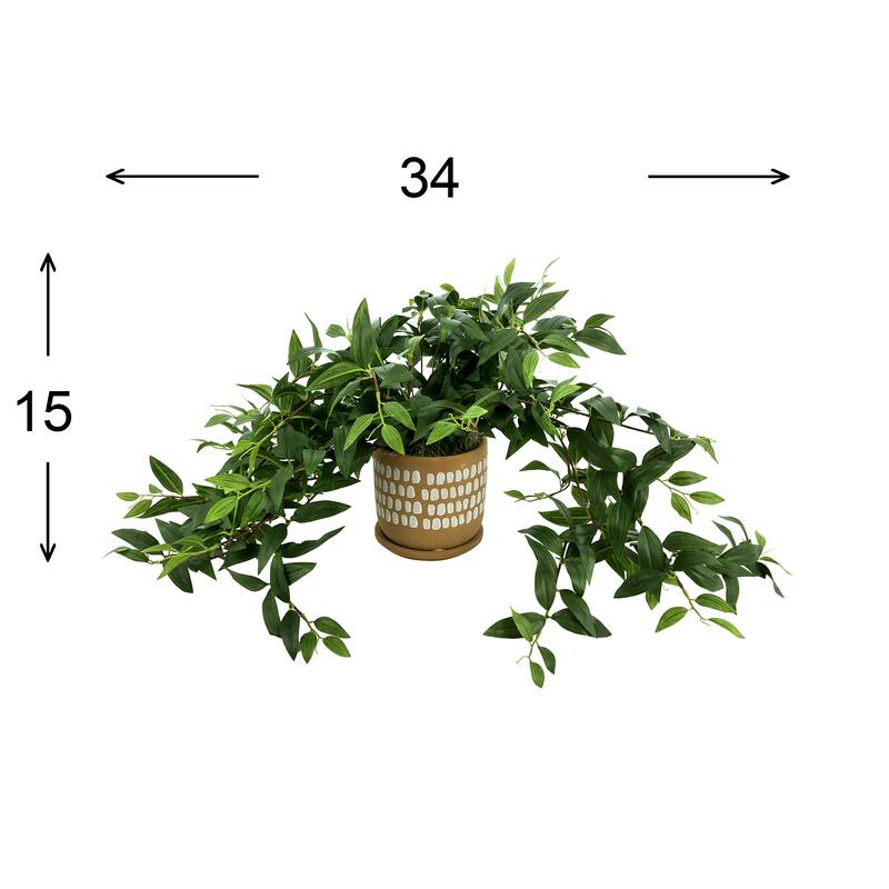 Ivy Arrangement in a Spotted Ceramic Pot - Green