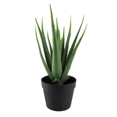 19in Artificial Real Touch Soft Aloe Succulent Plant in Black Pot - 19" H x 14.5" W x 14.5" DP