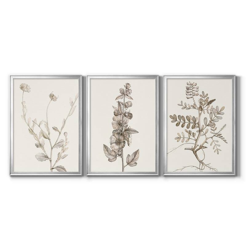 Neutral Botanical Study IV Premium Framed Canvas - Ready to Hang - Multi-Color