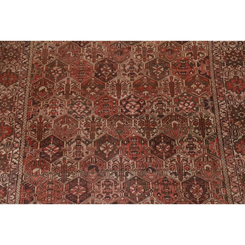 Garden Design Bakhtiari Persian Vintage Rug Hand-Knotted Wool Carpet - 6'9"x 9'11"