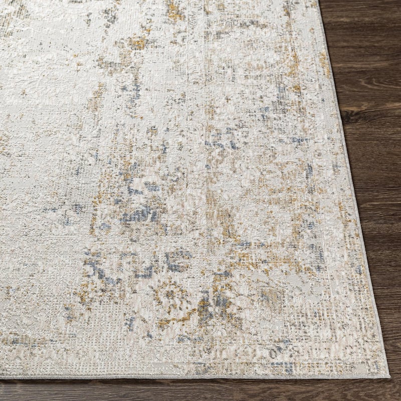 Chadwick Vintage Border Area Rug