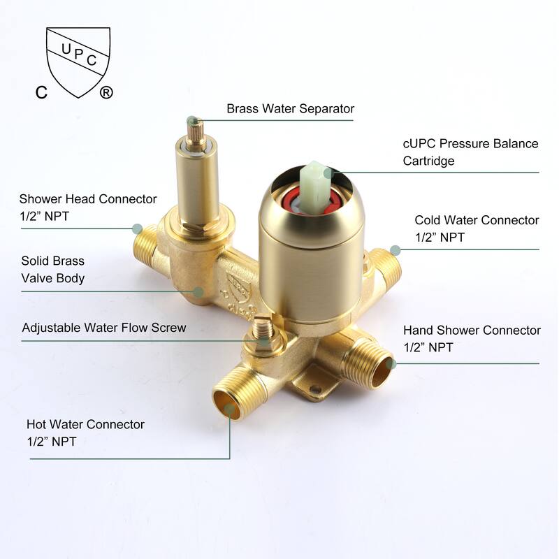 2.5 GPM 10 in. Wall Mount Dual Shower Heads with Pressure Balance Valve
