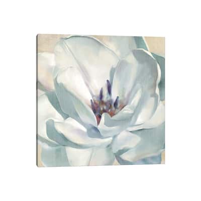 iCanvas "Iridescent Bloom II" by Carol Robinson Canvas Print