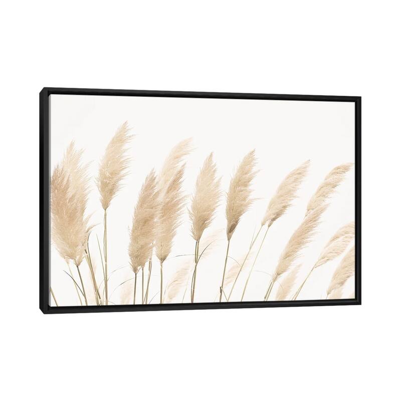 iCanvas "Pampas" by Sisi & Seb Framed Canvas Print - Black - 32x48