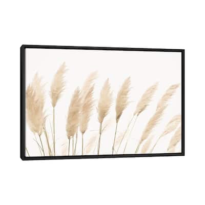 iCanvas "Pampas" by Sisi & Seb Framed Canvas Print