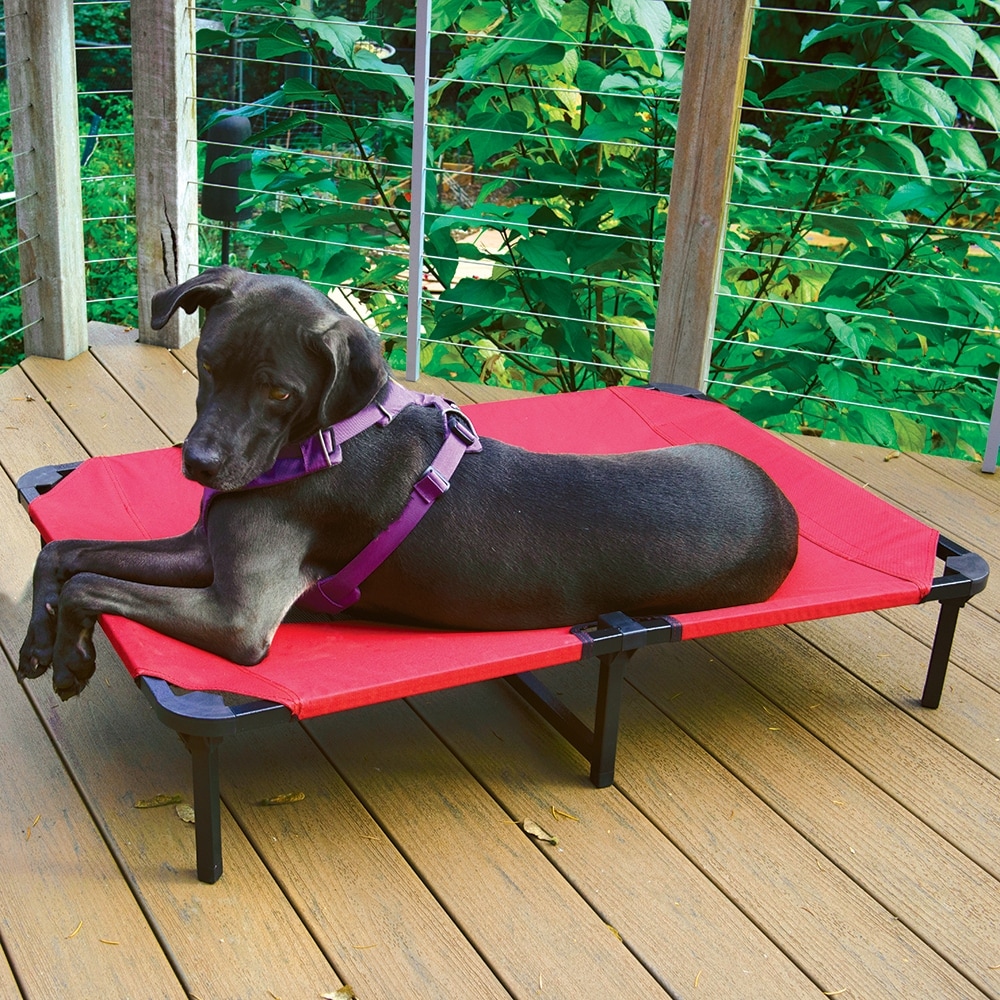 Bed bath beyond dog bed shop