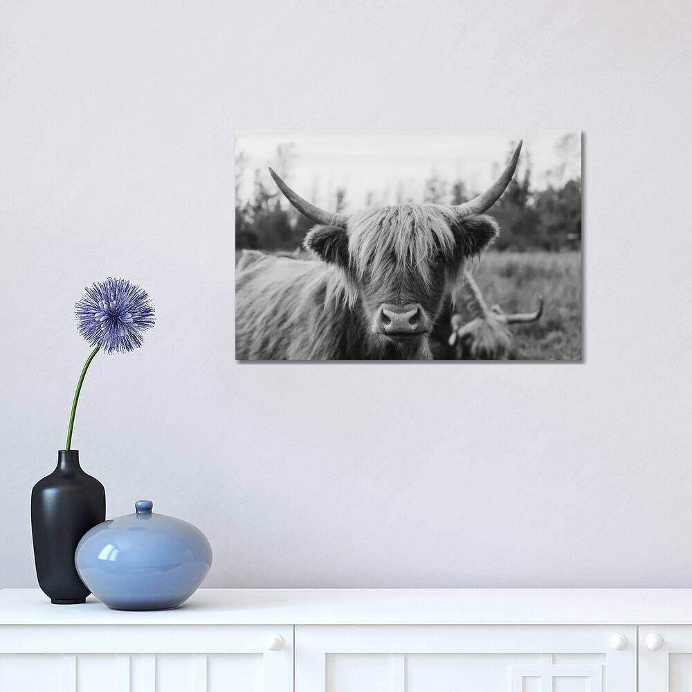 iCanvas "Highland Cow Black and White" by Chelsea Victoria Canvas Print