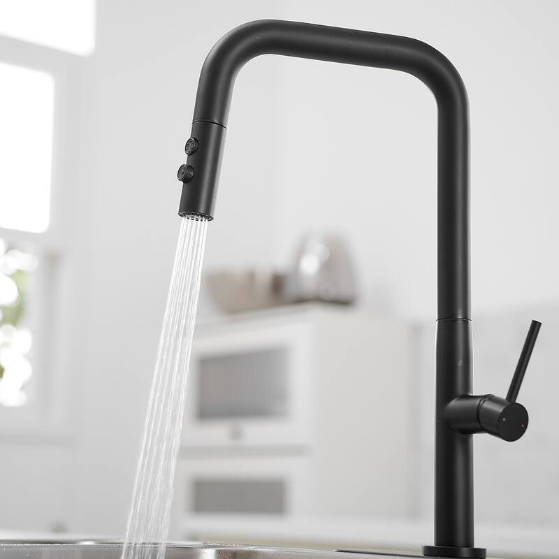 WIZ Pull-Down 1-Spray High Arc Kitchen Faucet With Deck Plate