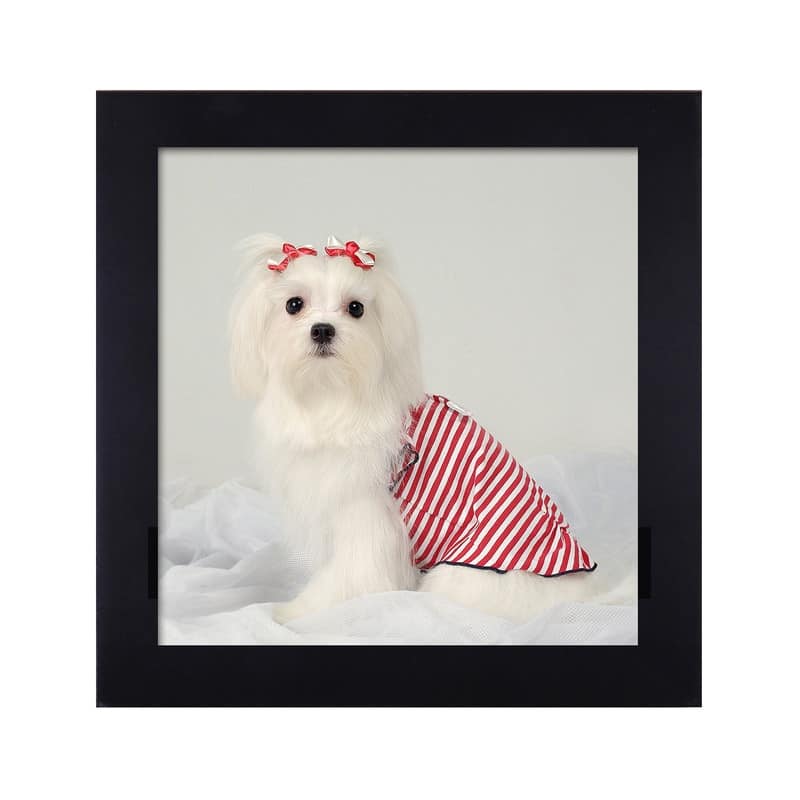 Adeco Decorative Black Wood Wall Hanging 10 x 10-inch Photo Frame