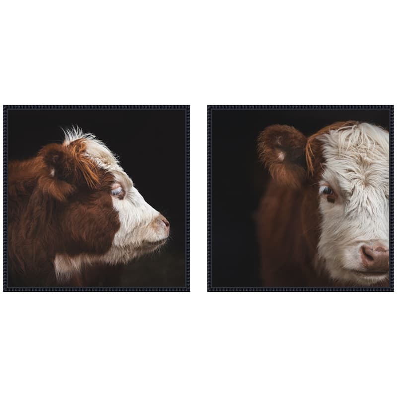 Kate and Laurel Cow Close 2 Piece Framed Canvas Wall Art Set by Emiko and Mark Franzen F2 Images - 2 Piece Set 22x22 - Black
