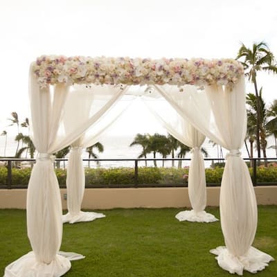 Heavy Duty Wedding Backdrop Stand Height Adjustable Canopy Frame - 9.84x9.84x9.84ft