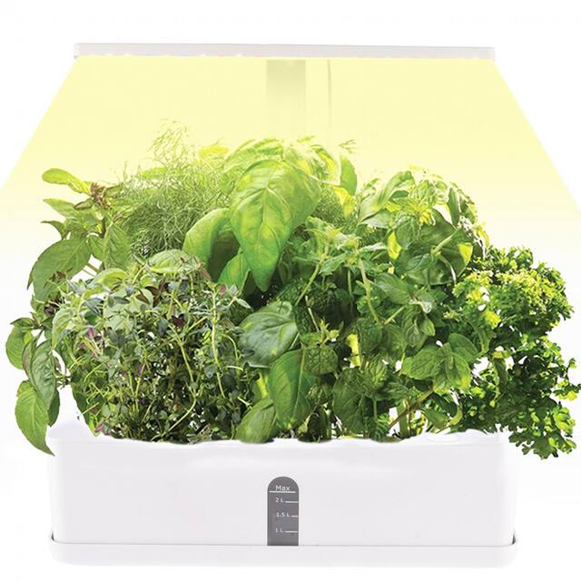 LED Height Adjustable Automatic 9-Pod Indoor Garden Germination Kit DIY - White