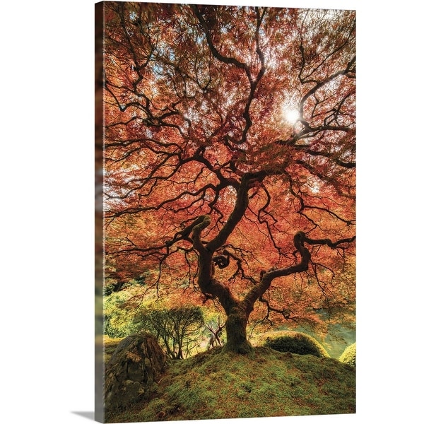 "First Colors of Fall II" Canvas Wall Art