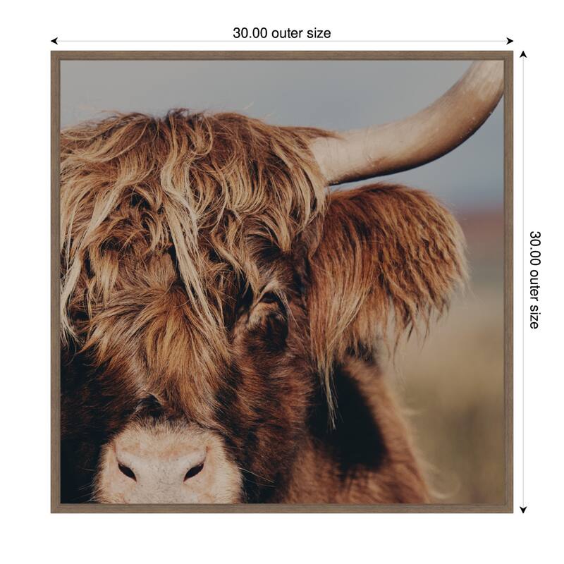 Kate and Laurel Highland Cow by Laura Evans Framed Canvas Wall Art Print