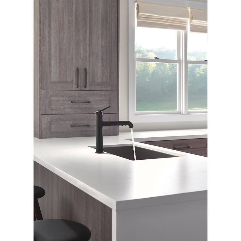 Delta Trinsic Pull-Out Kitchen Faucet - Includes Lifetime Warranty