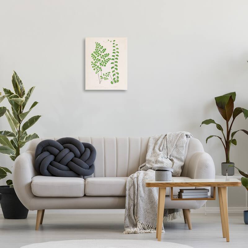 Stupell Vivid Green Ferns Study Canvas Wall Art Design By Phillipa Katz