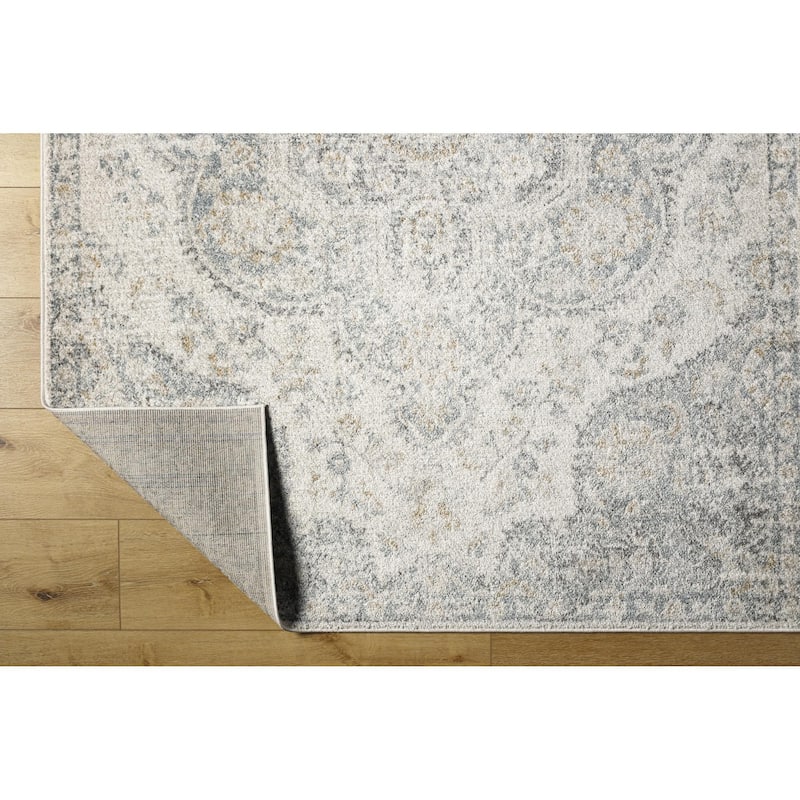 Livabliss Hal Vintage Boho Traditional Pink Medallion Area Rug