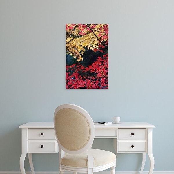 Easy Art Prints William Sutton's 'Maple Trees In Autumn Color' Premium Canvas Art