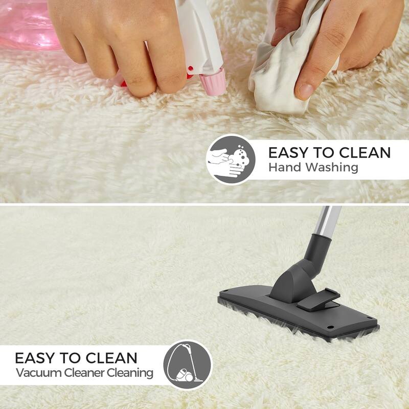 4X6 Fluffy Shag Area Rugs, Super Soft Rugs for Living Room