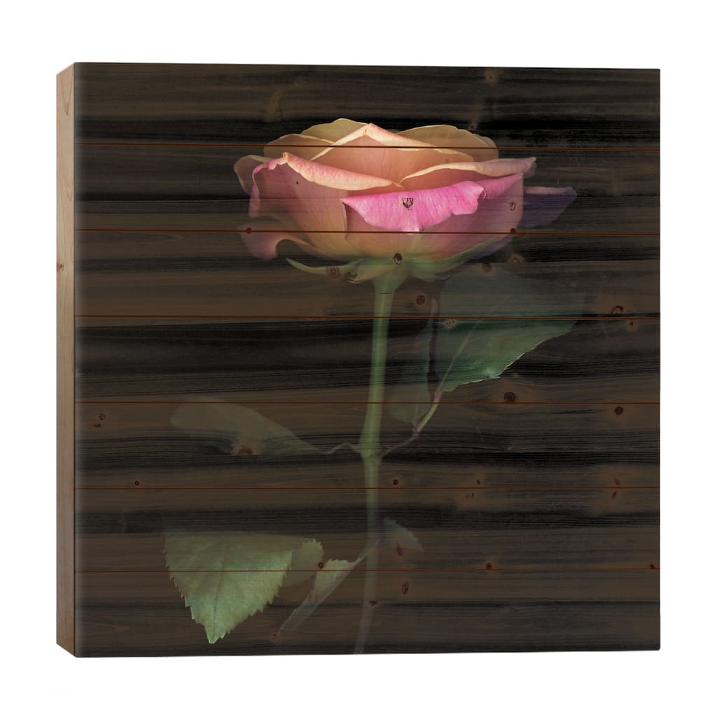 The Glowing Rose Print On Wood by Magda Indigo - Multi-Color