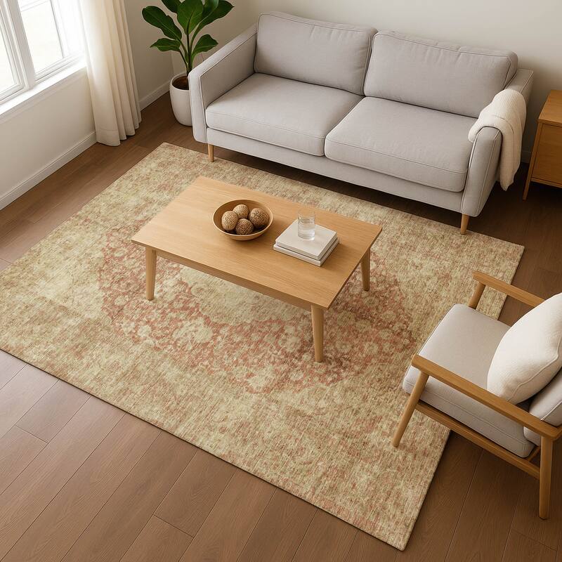 Premium Washable Super Soft Vintage Traditional Mayfield Rug