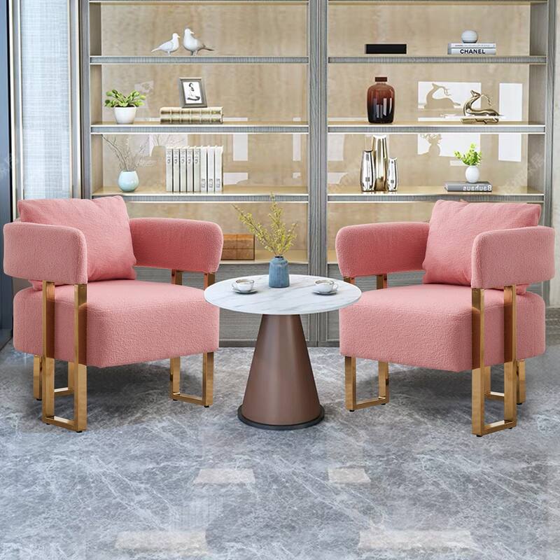 Modern Decorative Pink Teddy Upholstered Chair with Gold Metal Legs, 24x26x27 inches, 2PCS - Multi-Color