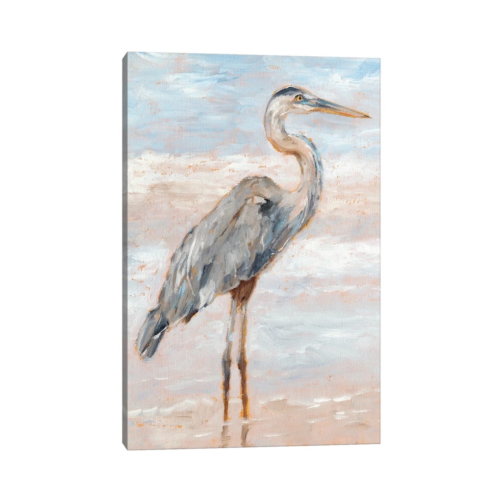 iCanvas "Beach Heron I" by Ethan Harper Canvas Print