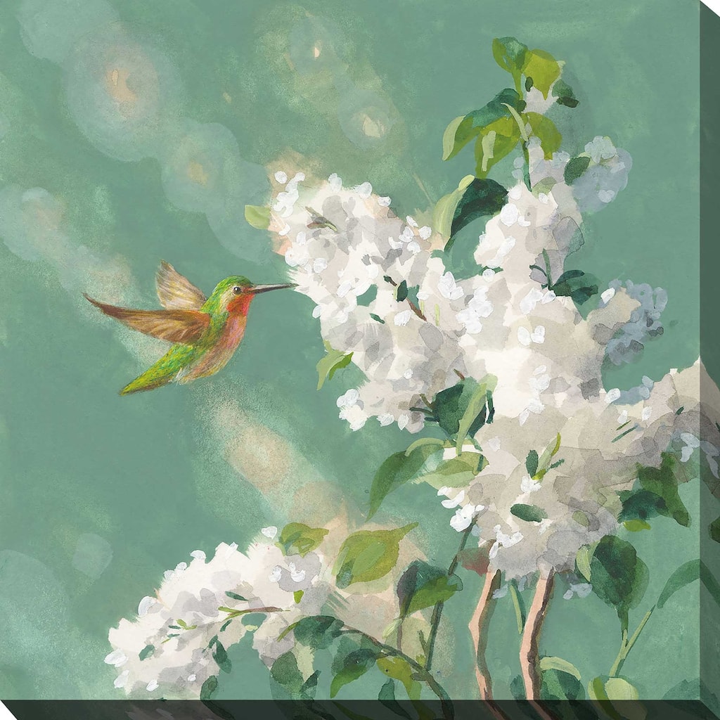 "Hummingbird Spring I" by Danhui Nai Print on Canvas