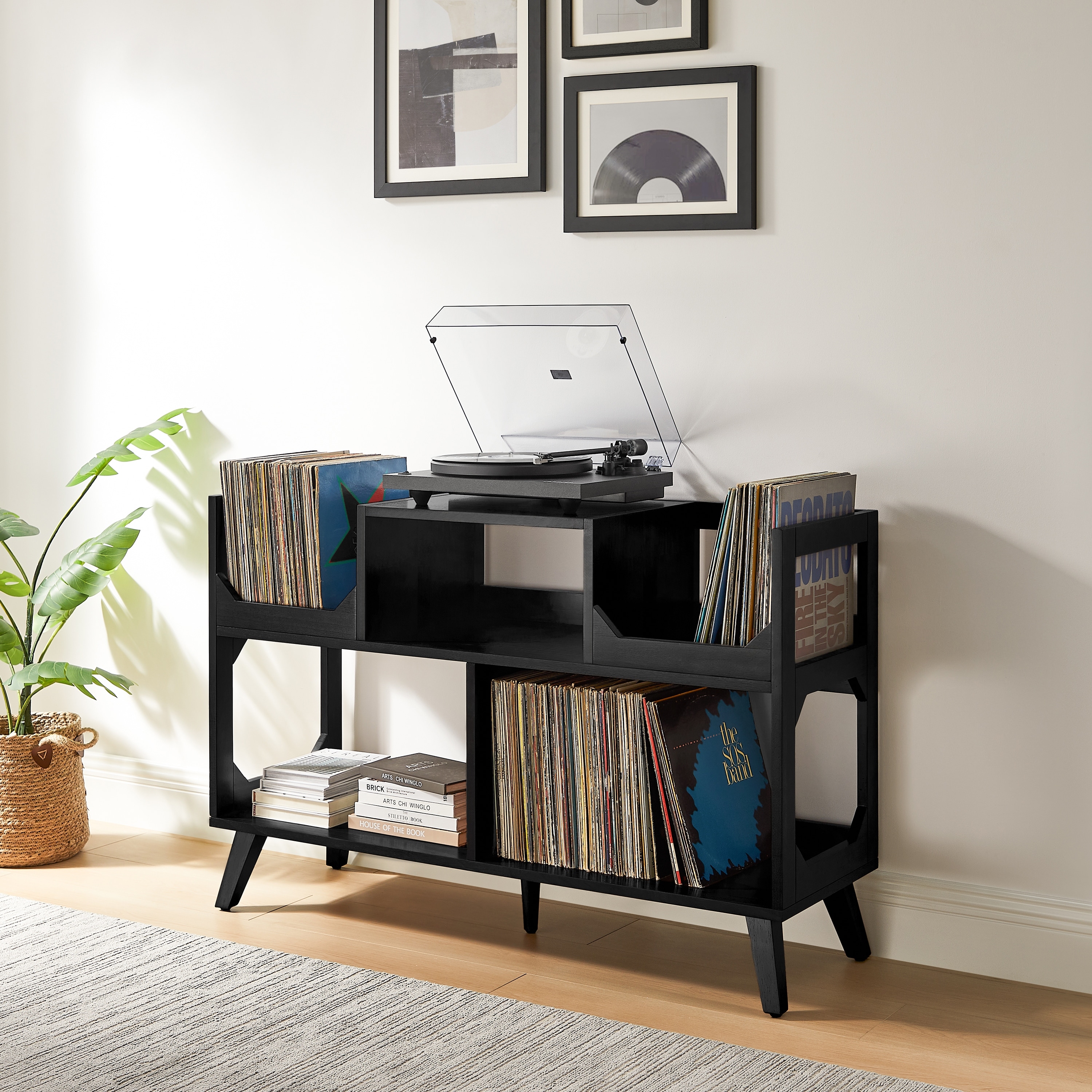 Asheville-Large-Record-Storage