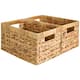 Option Water Hyacinth