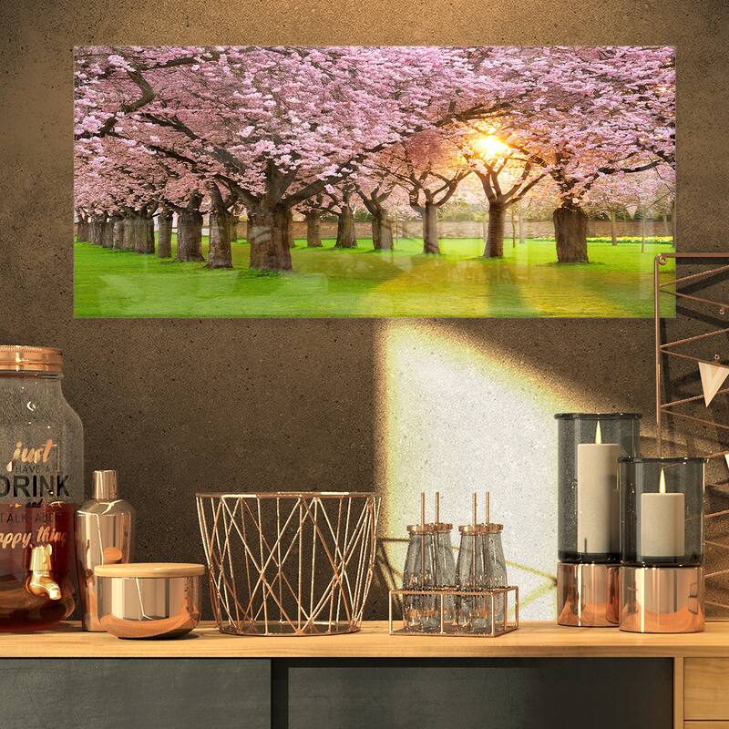 Fascinating Springtime Cherry Scenery - Landscape Glossy Metal Wall Art