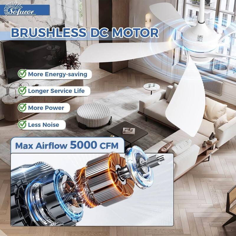 52 Inch Ceiling Fan with Remote & Lights Quiet DC Motor 5 Blade High CFM Modern Fan