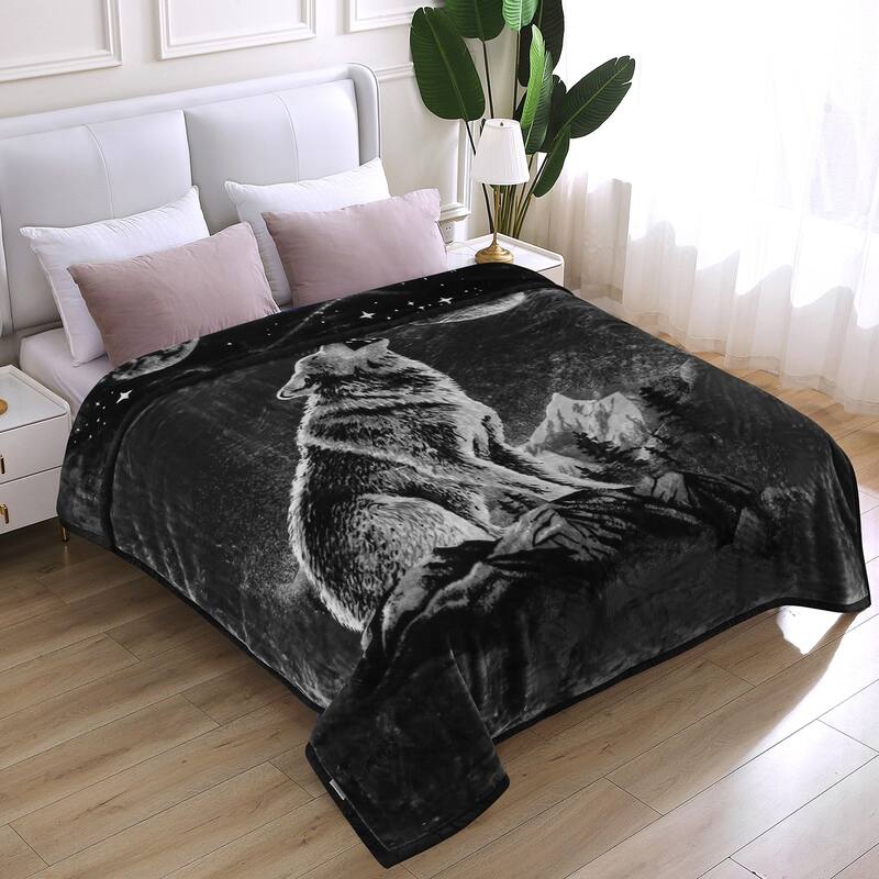 Raschel A&B Printed 2-ply Reversible Korean-style Plush Fleece Blanket