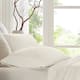 Option Ivory