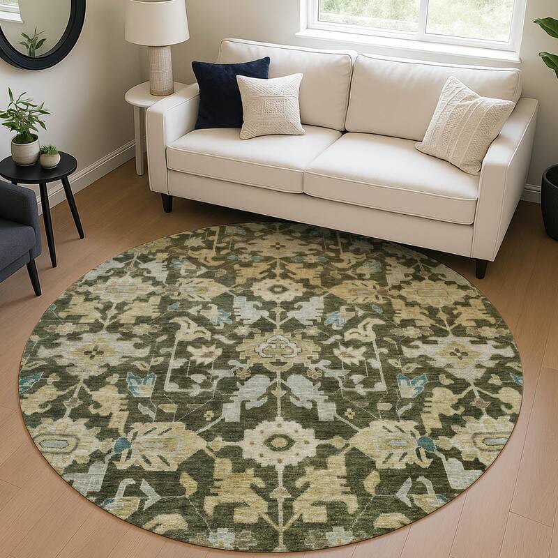 Machine Washable Indoor/ Outdoor Casual Traditional Chantille Rug