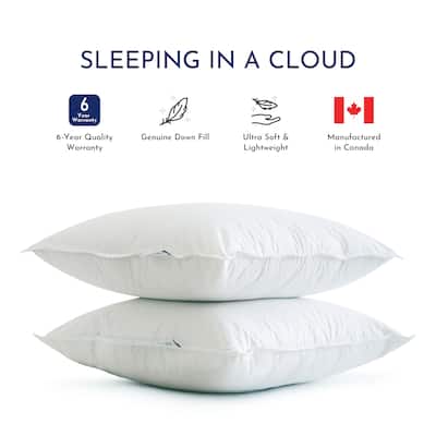 Highland Feather 600 Loft White Goose Down Pillow 289 TC Cotton Casing