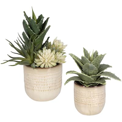 Uttermost 60208 Seaside Succulents 12" Tall Ceramic Faux Flora Planter - Tan