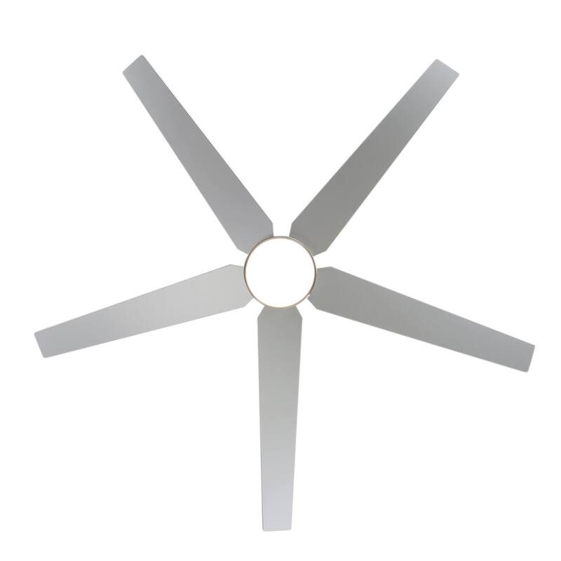 65 Inch 5-Blade LED Ceiling Fan with Light and Remote