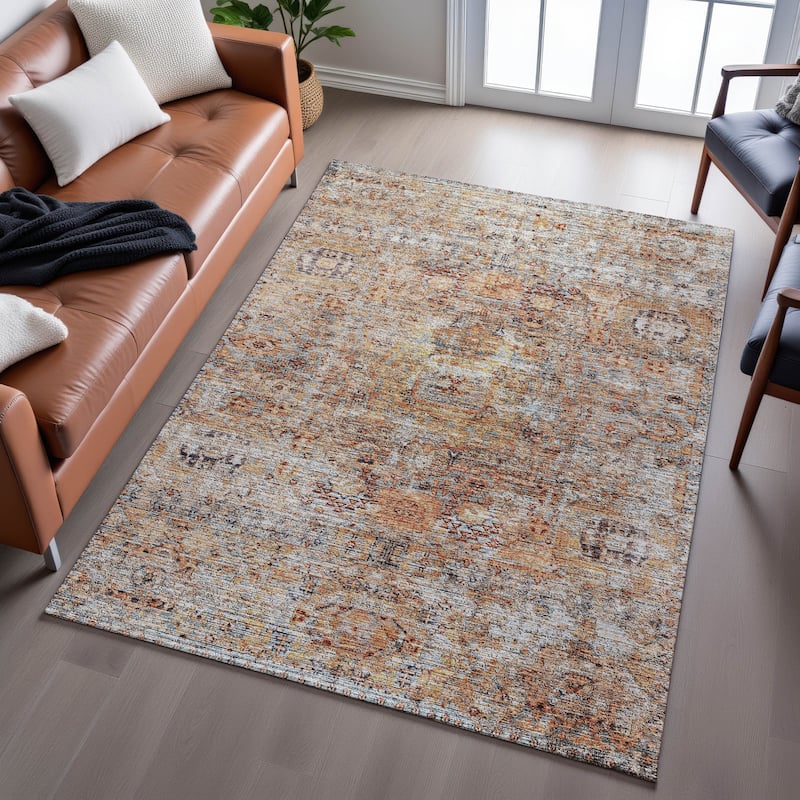 Premium Washable Super Soft Vintage Persian Mayfield Rug